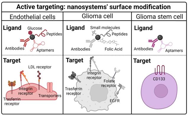 Theranostics Image