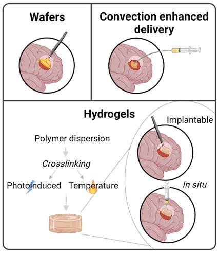 Theranostics Image