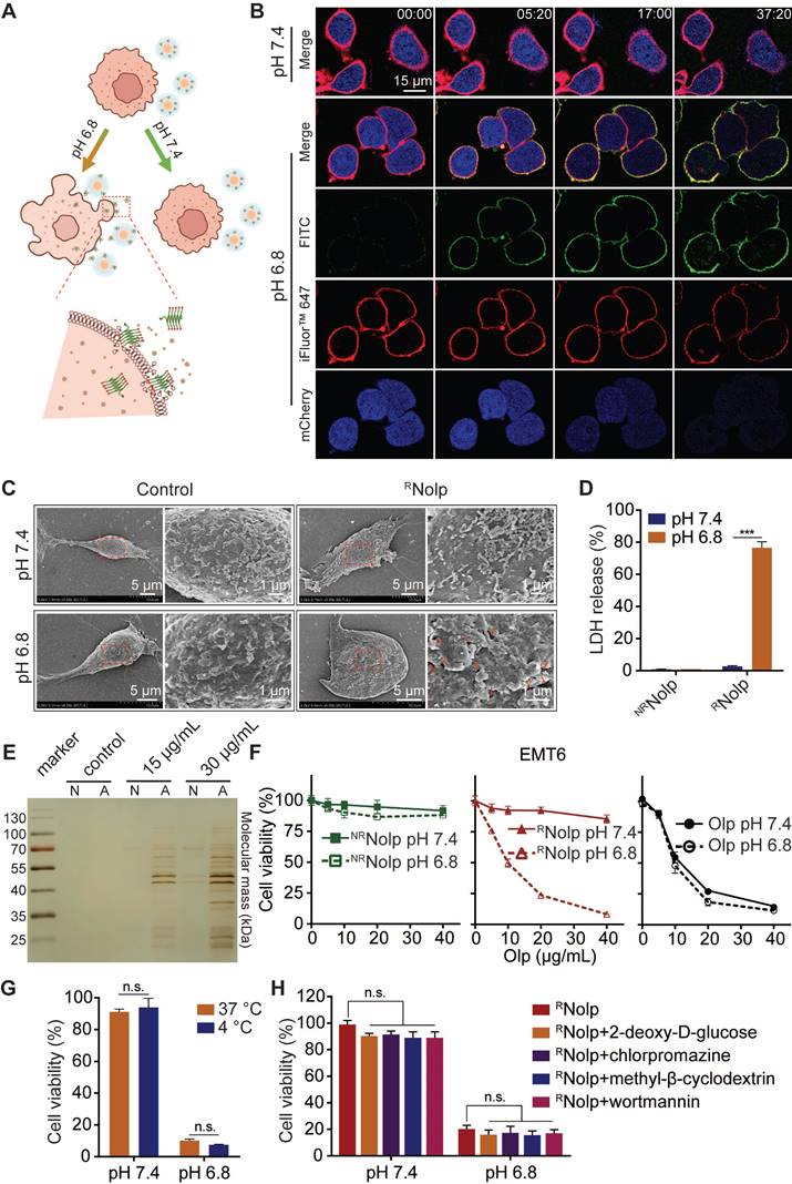 Theranostics Image