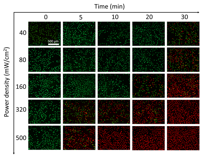 Theranostics Image