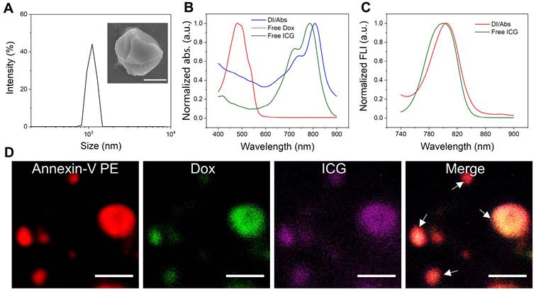 Theranostics Image