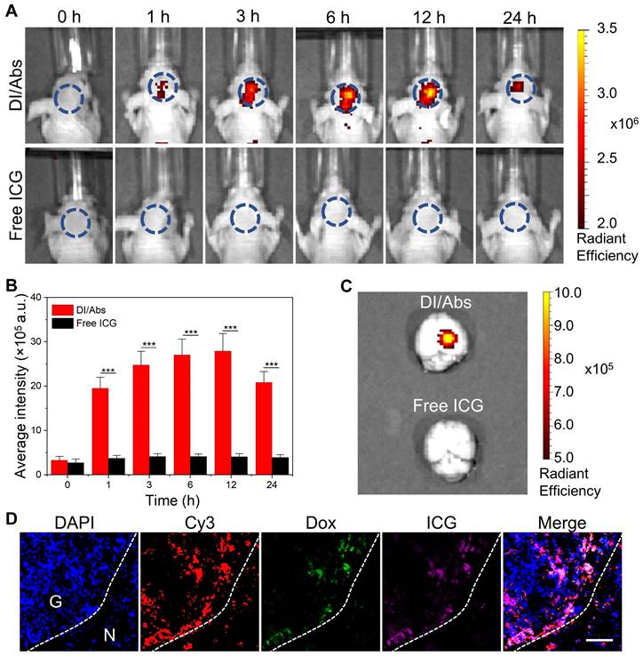 Theranostics Image