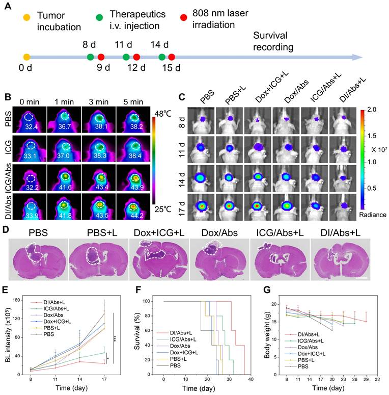 Theranostics Image