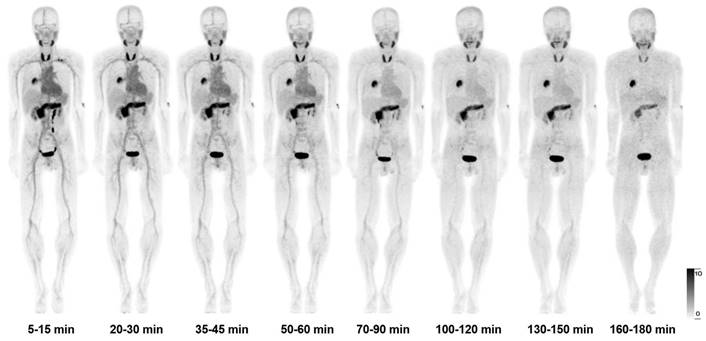 Theranostics Image