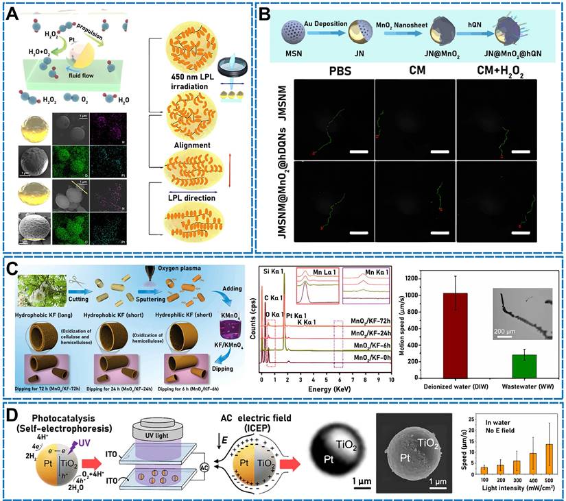 Theranostics Image