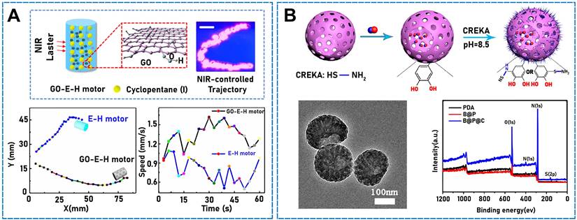 Theranostics Image