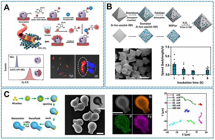 Theranostics Image