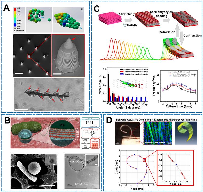 Theranostics Image