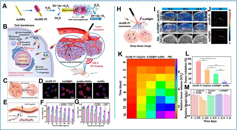 Theranostics Image