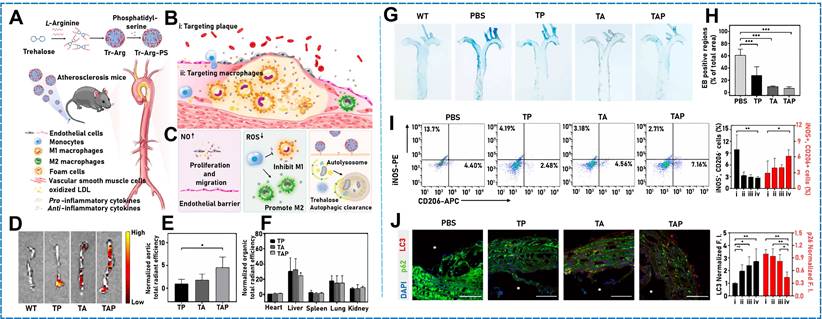 Theranostics Image