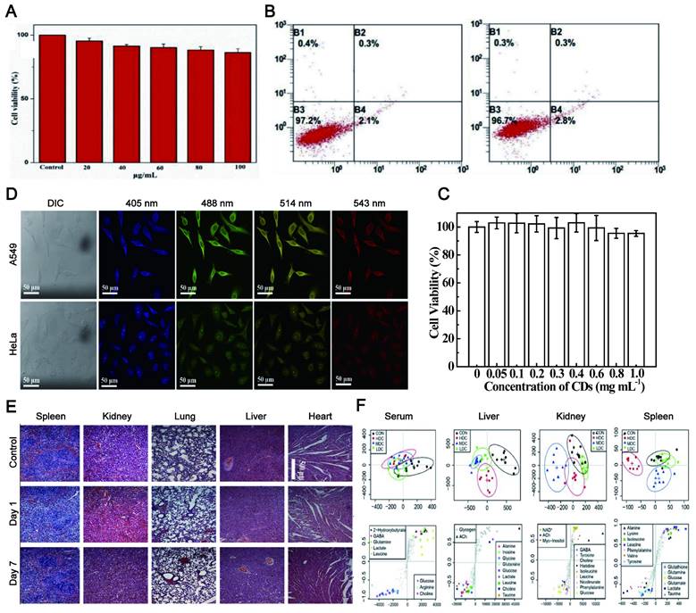 Theranostics Image