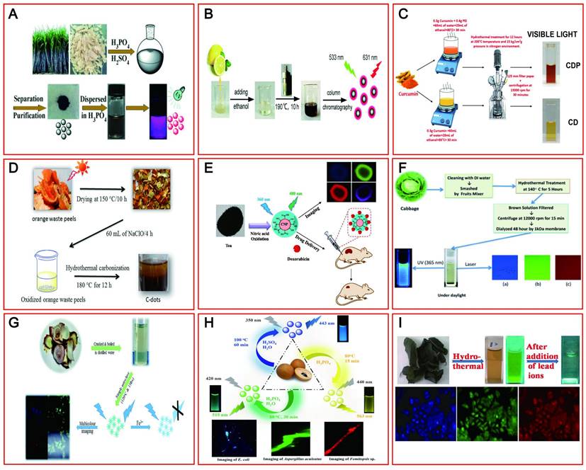 Theranostics Image