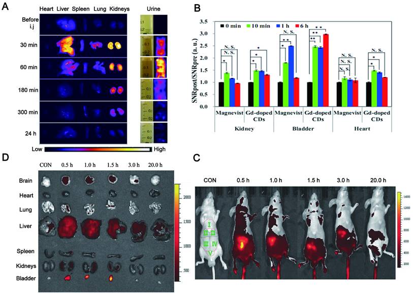 Theranostics Image