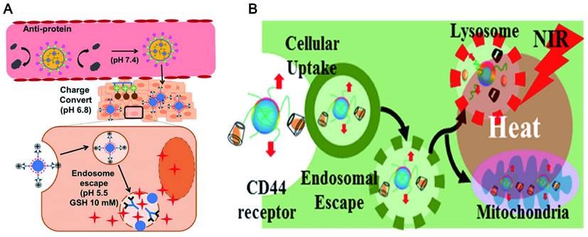 Theranostics Image