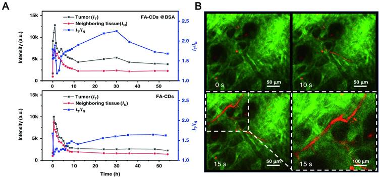 Theranostics Image