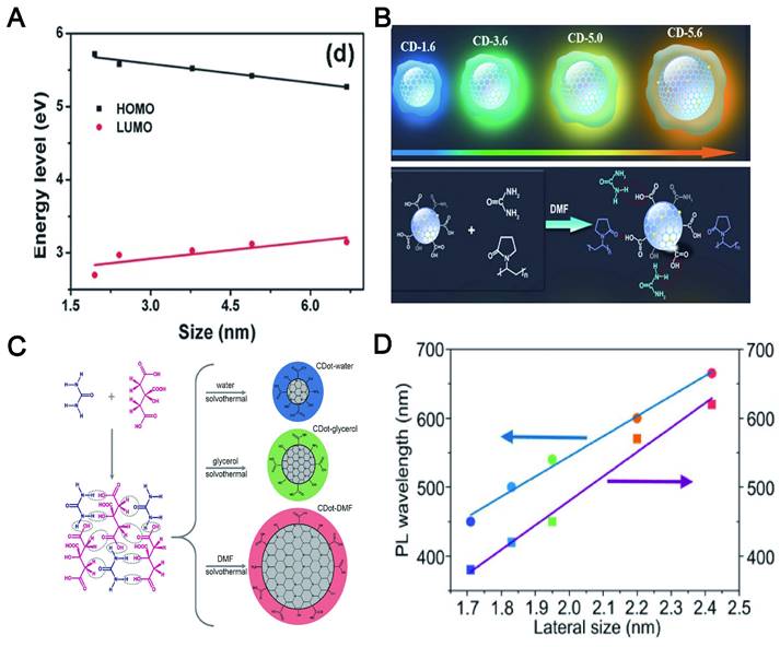 Theranostics Image