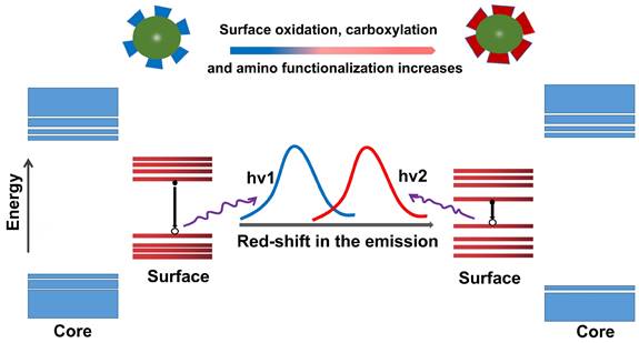 Theranostics Image