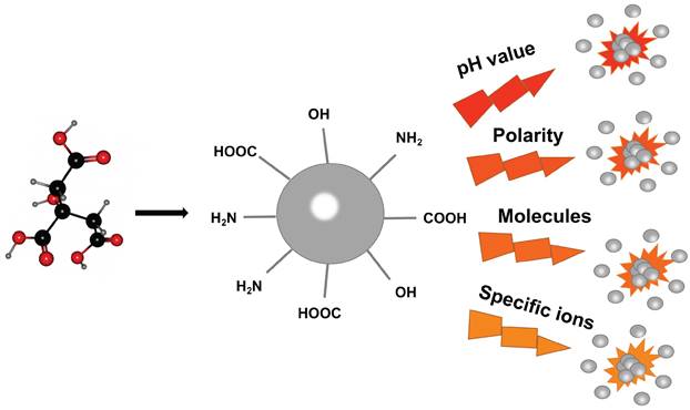 Theranostics Image