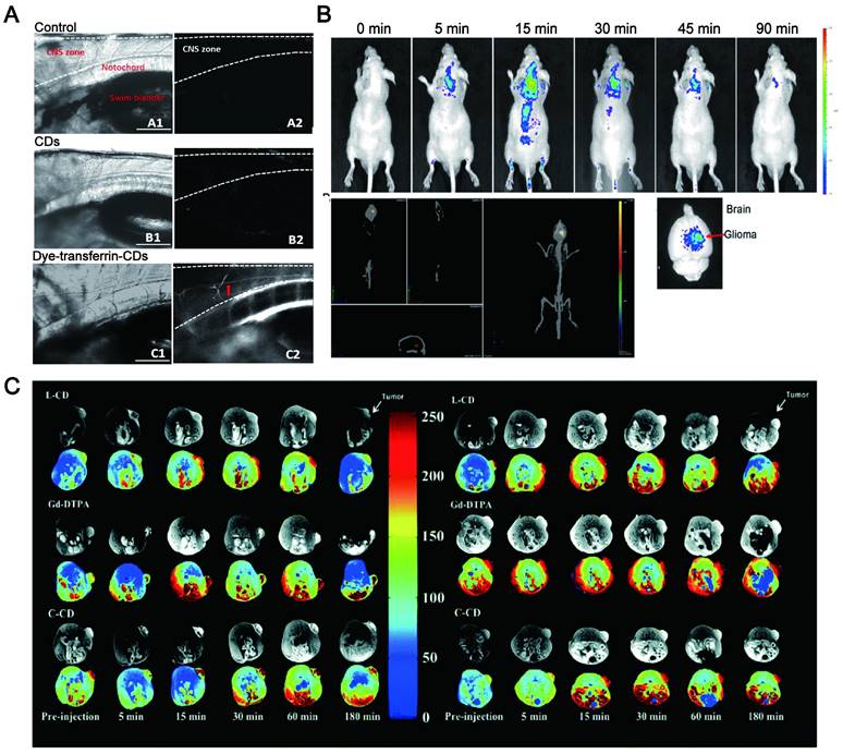 Theranostics Image