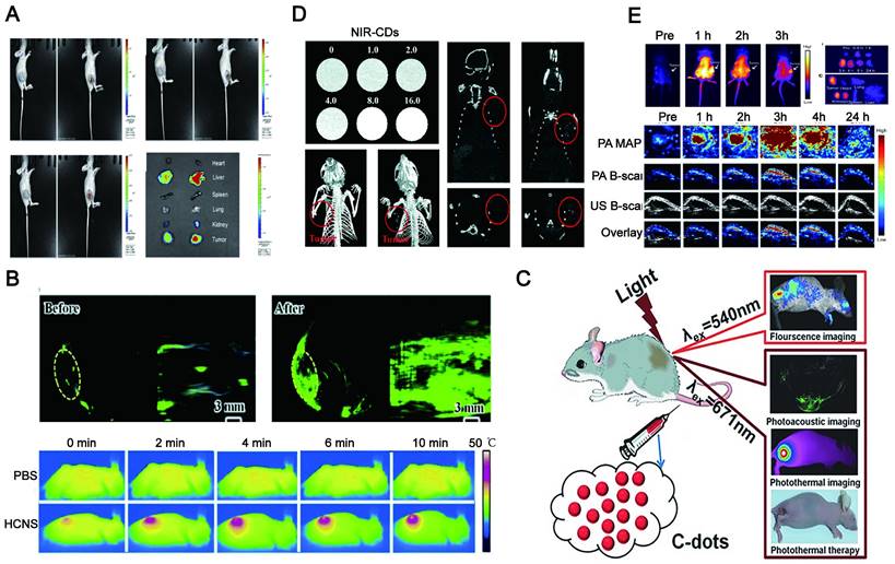 Theranostics Image