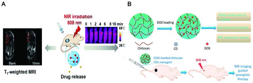 Theranostics Image