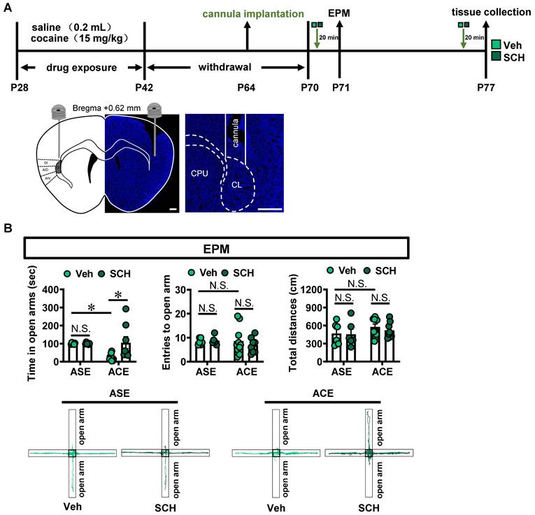 Theranostics Image