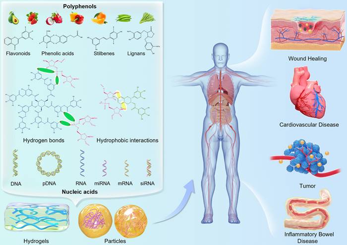 Theranostics Image