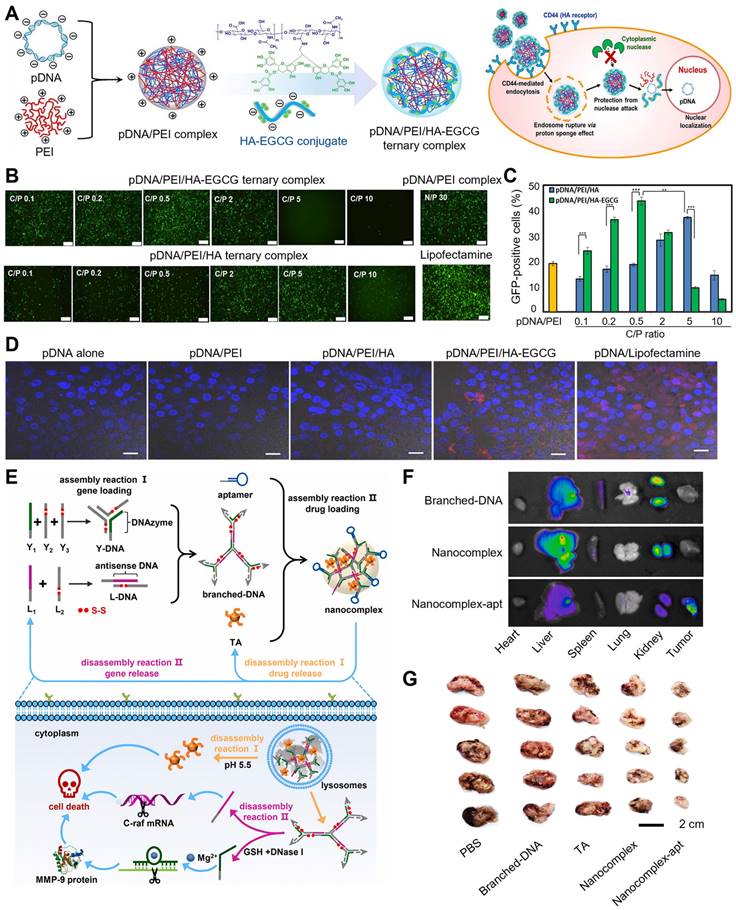 Theranostics Image