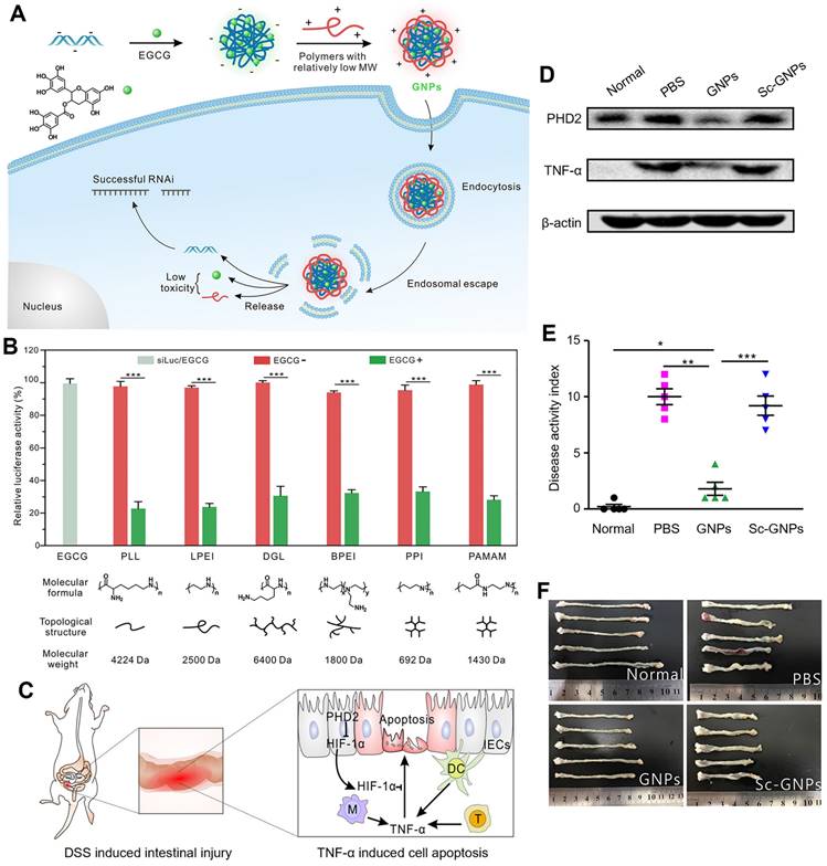 Theranostics Image