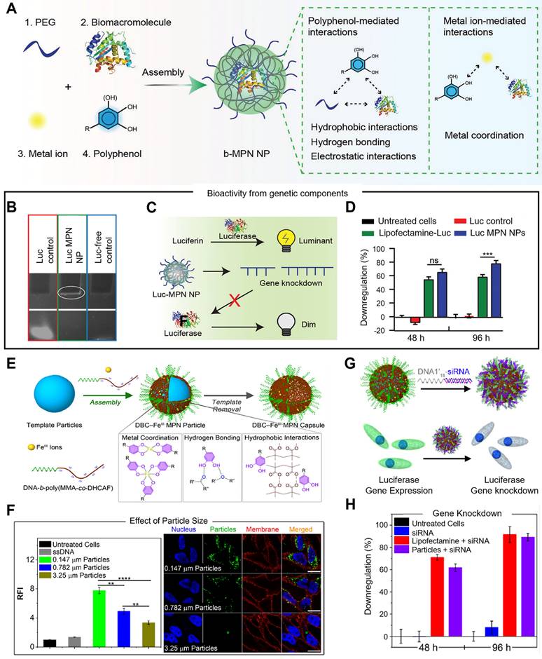 Theranostics Image