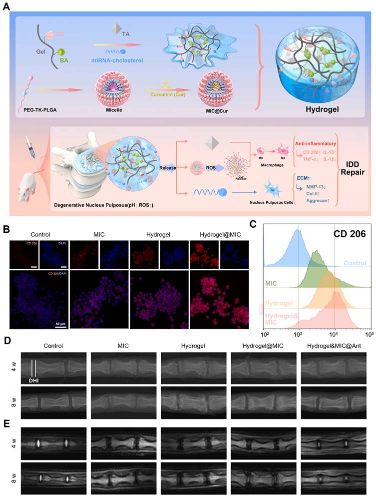 Theranostics Image