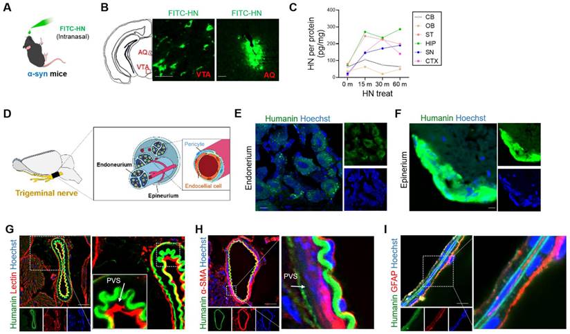 Theranostics Image