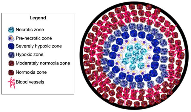 Theranostics Image