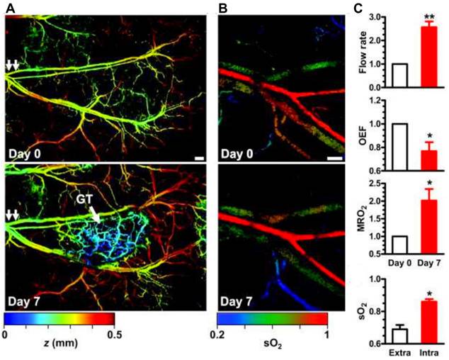 Theranostics Image