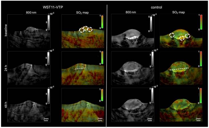 Theranostics Image