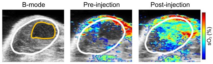 Theranostics Image