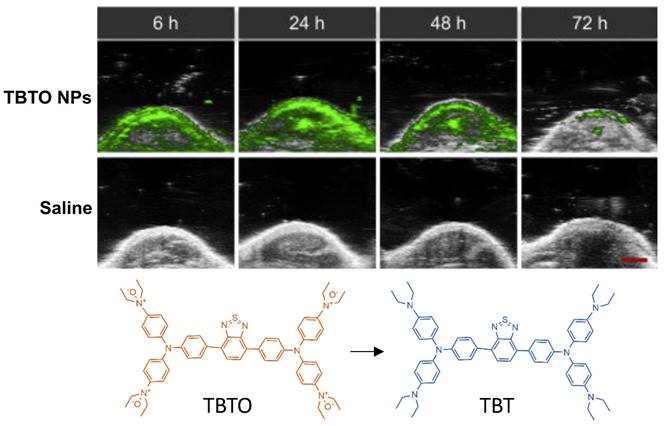 Theranostics Image