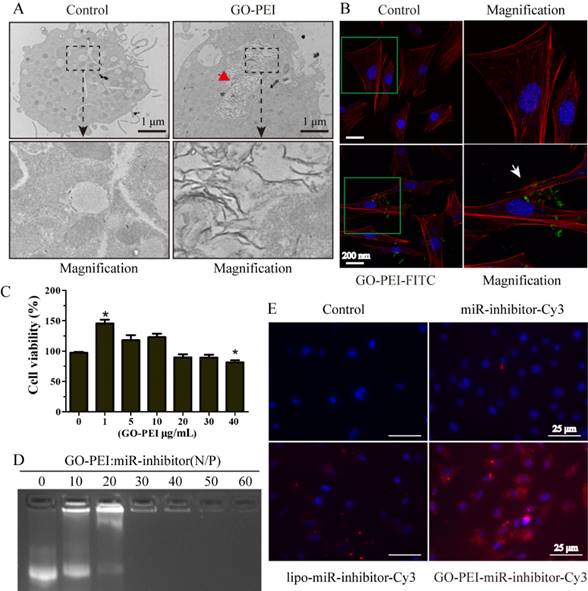 Theranostics Image