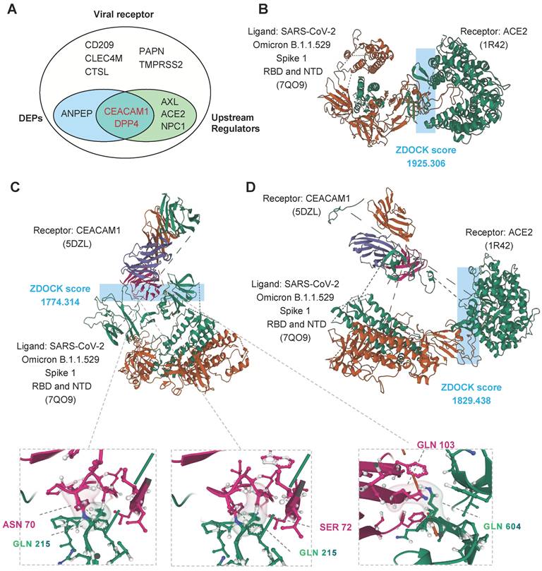 Theranostics Image