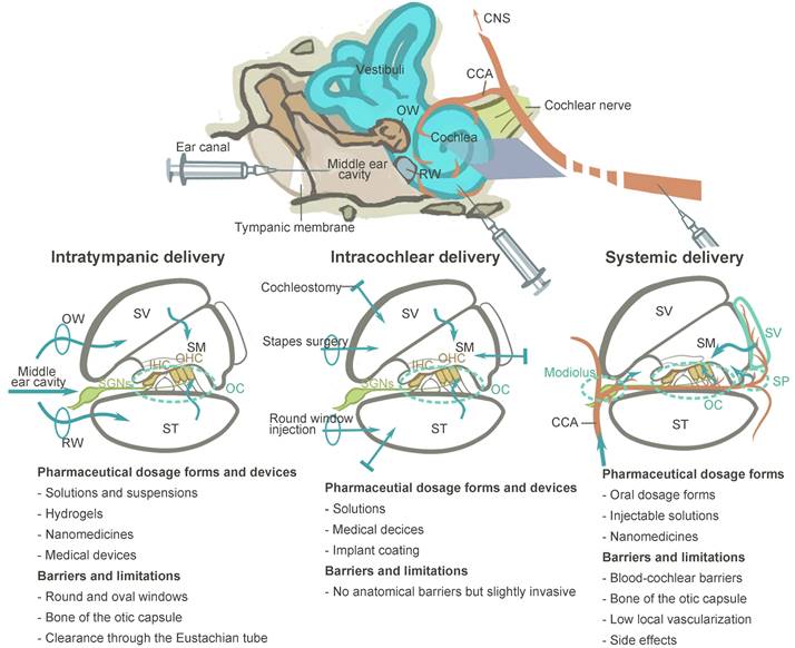 Theranostics Image