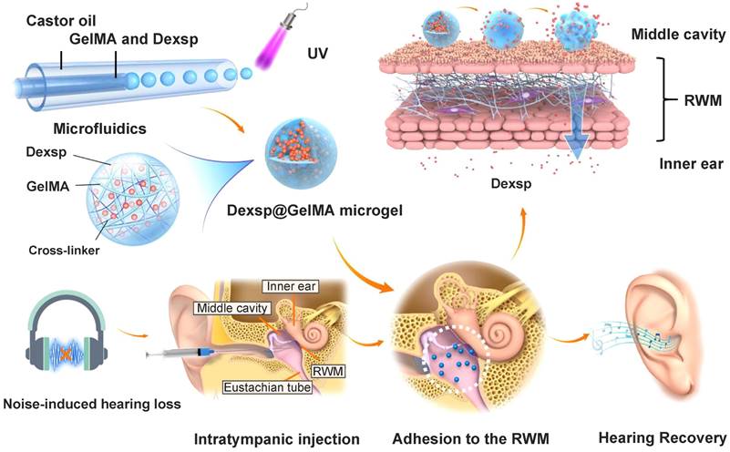 Theranostics Image