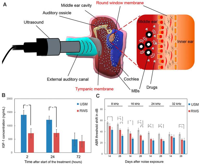 Theranostics Image