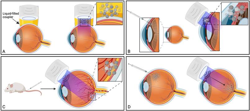 Theranostics Image