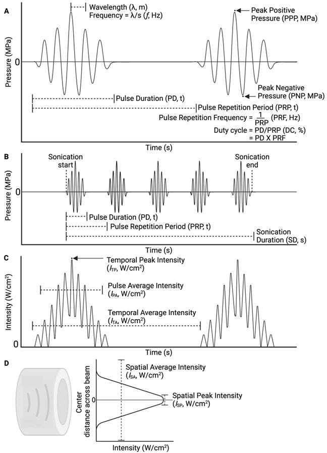 Theranostics Image