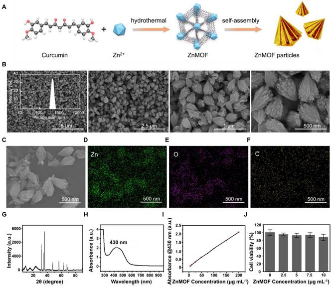 Theranostics Image