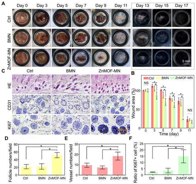 Theranostics Image