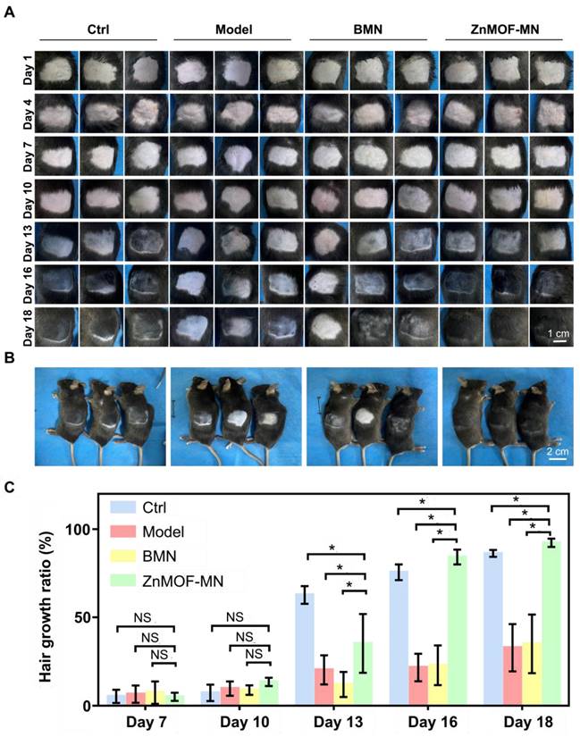 Theranostics Image