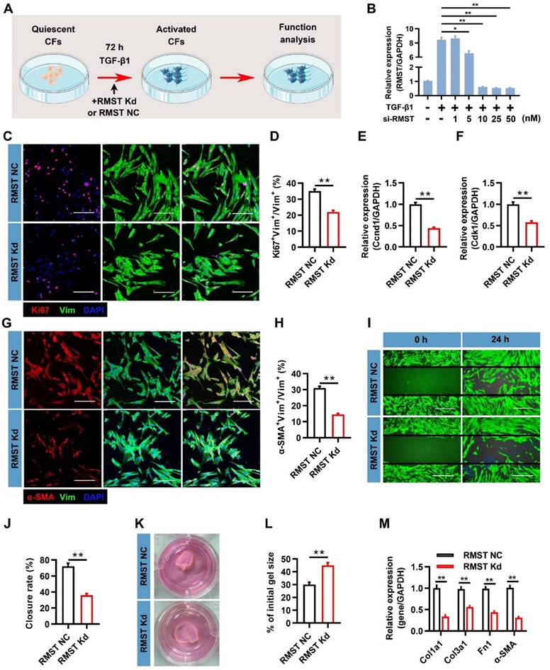 Theranostics Image