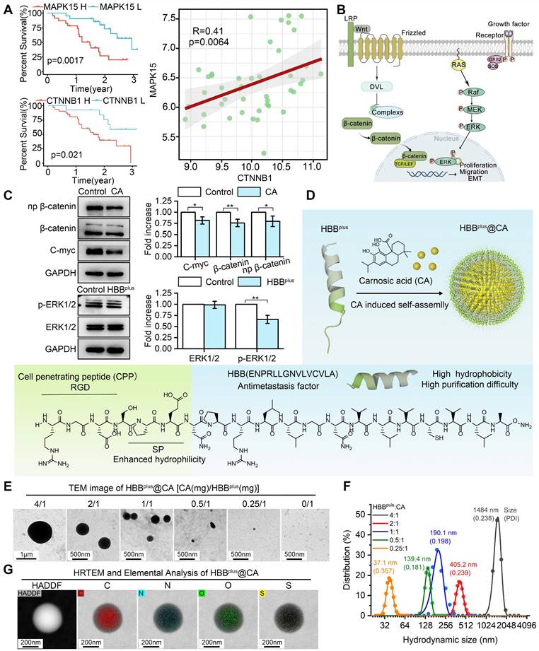 Theranostics Image