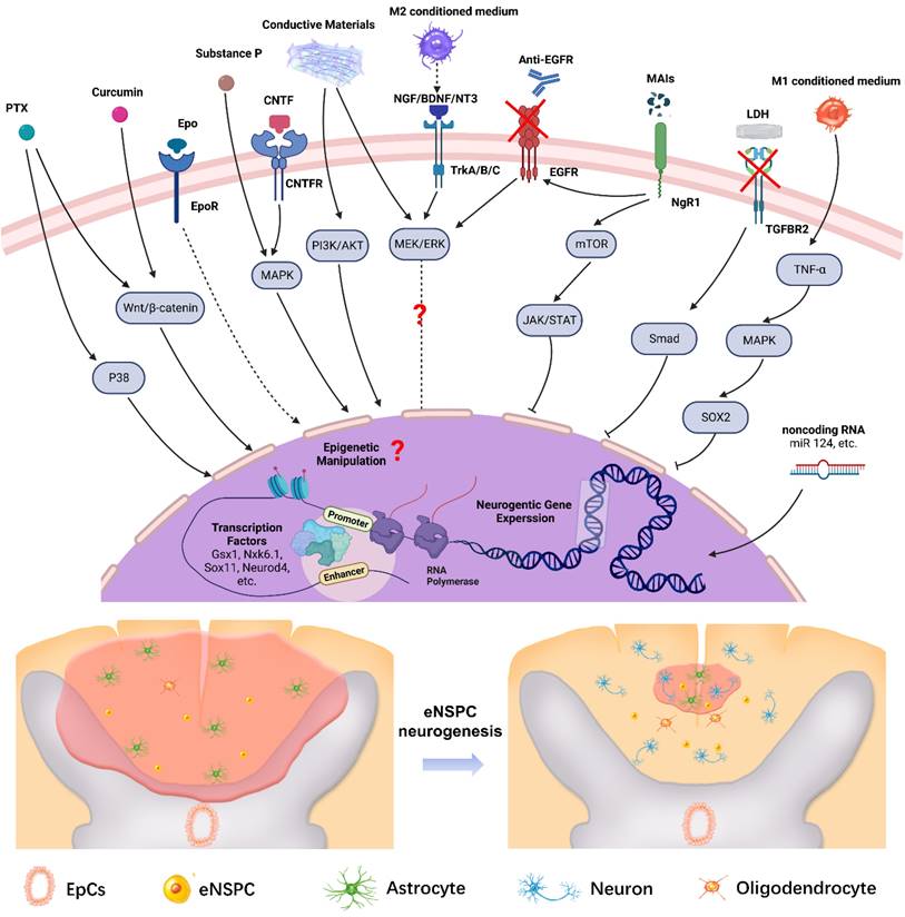 Theranostics Image